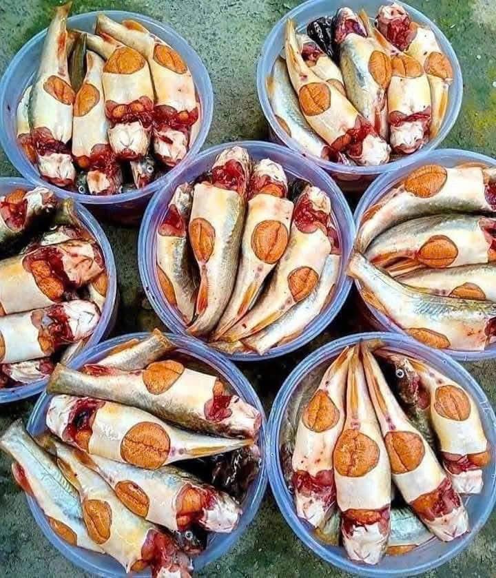 Cá Chốt Trứng - Hộp 500Gram