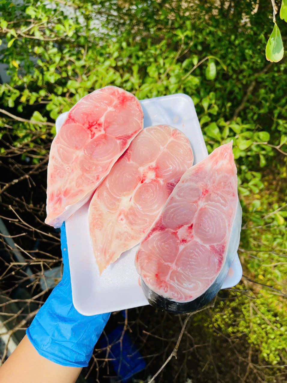 Cá Dứa Tươi Cắt Khoanh - Khay 500Gram