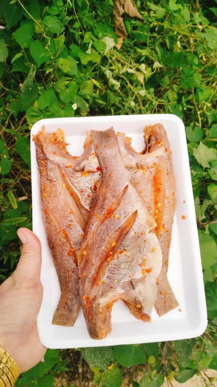 Cá Mú Biển 1 Nắng