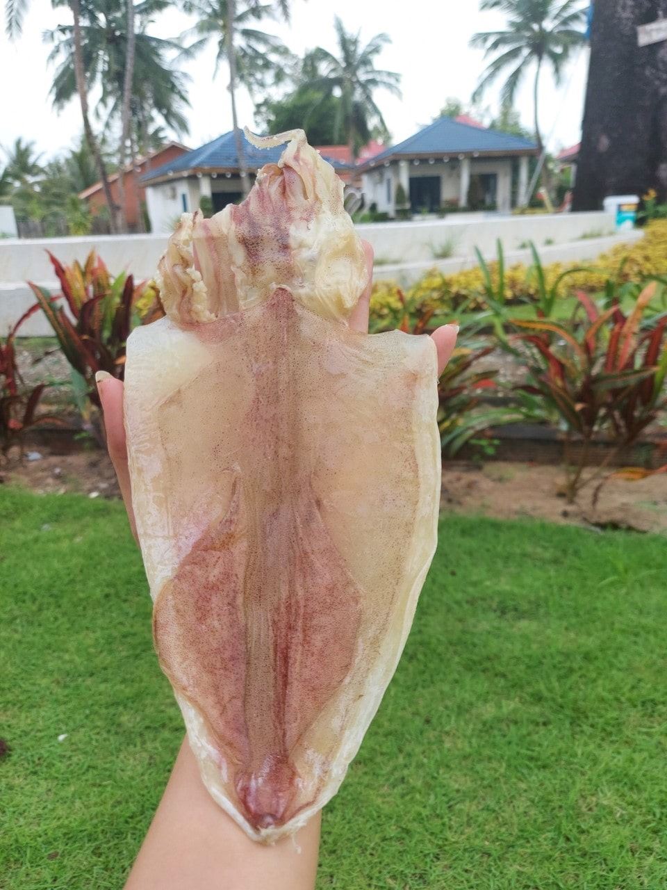 Khô Mực Câu Size 27-30 Con 1Kg - Túi 500gram