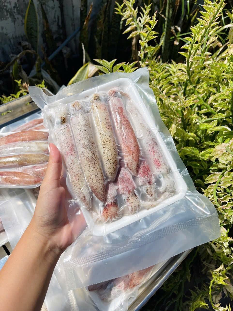 Mực Ống Câu Khay 500gram